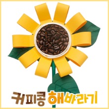 [꿈상자네316] 커피콩 해바라기 만들기